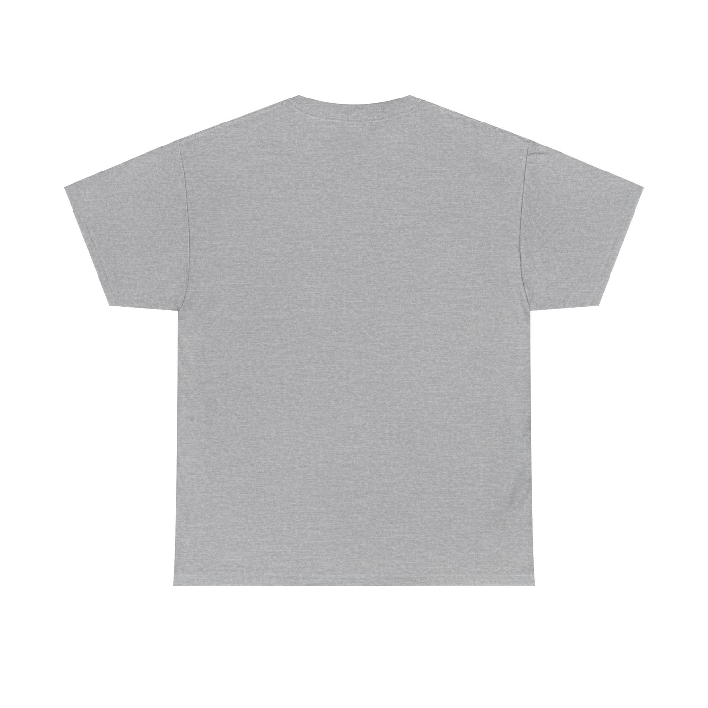 Protector Provider Father Figure T Shirt