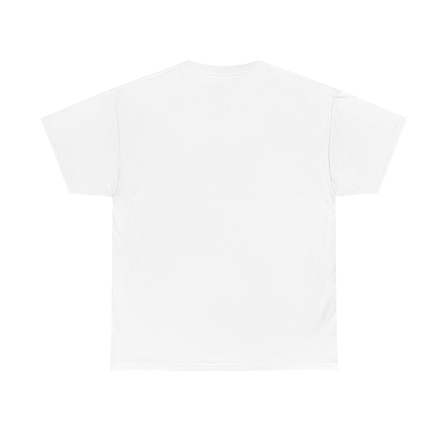 Protector Provider Father Figure T Shirt