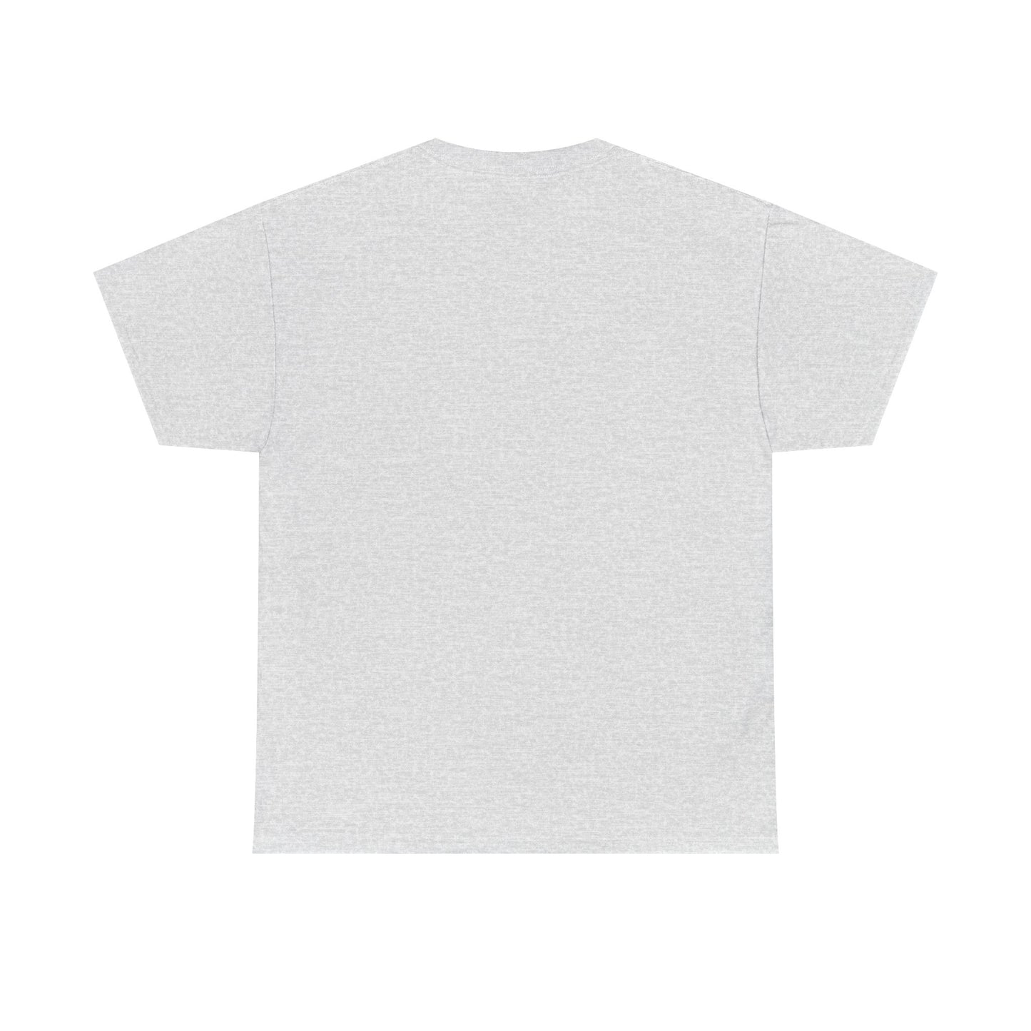 Protector Provider Father Figure T Shirt